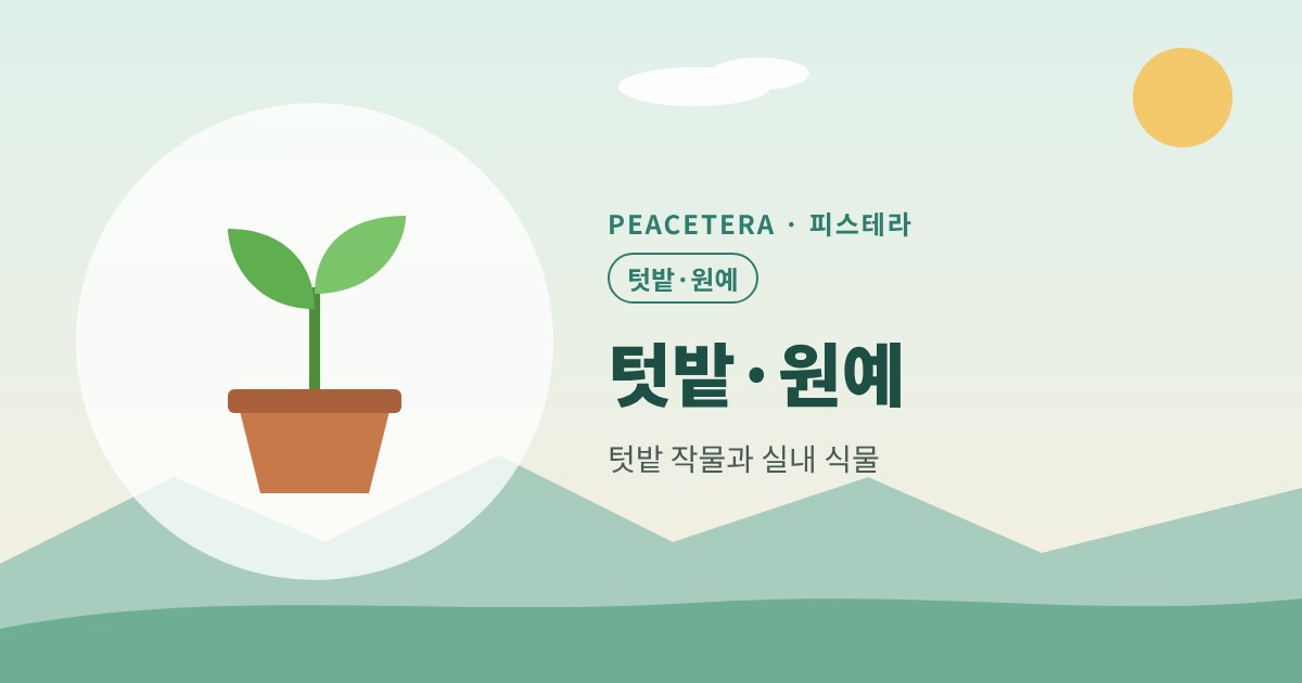 피스테라 텃밭·원예 대표 이미지